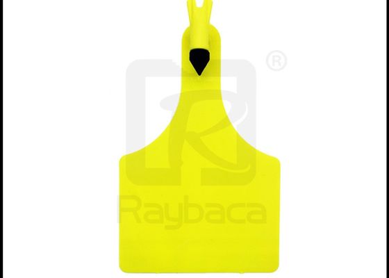 Z Tags Shape One Side Yellow Colour Visual Livestock Ear Tags For Cattle